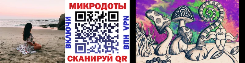 наркошоп Красноярск Псилоцибиновые грибы Magic Shrooms