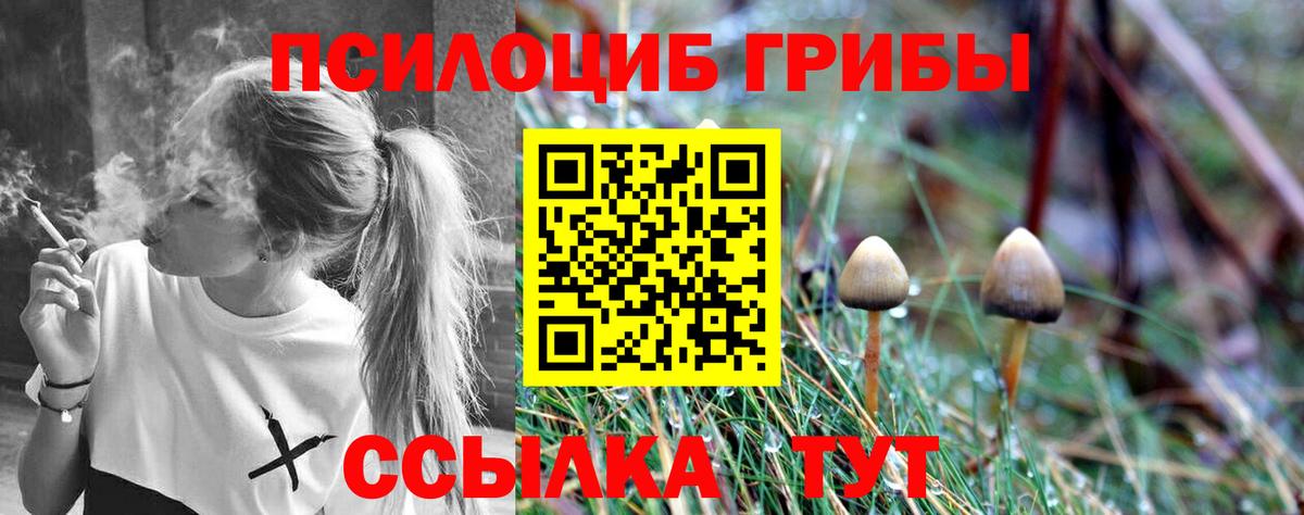 Псилоцибиновые грибы MAGIC MUSHROOMS  Галлюциногенные грибы MAGIC MUSHROOMS  Вход с VPN  Красноярск 